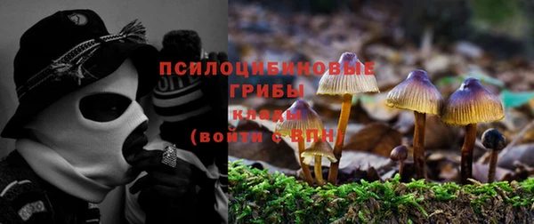 экстази Алексин
