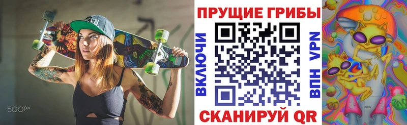 как найти закладки  Пыталово  Галлюциногенные грибы Psilocybine cubensis 